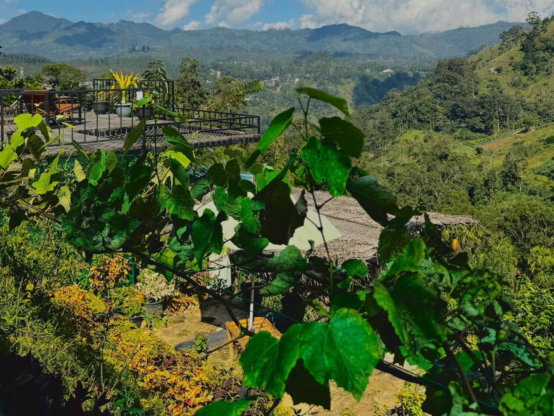 Sri Lanka Scenic 2